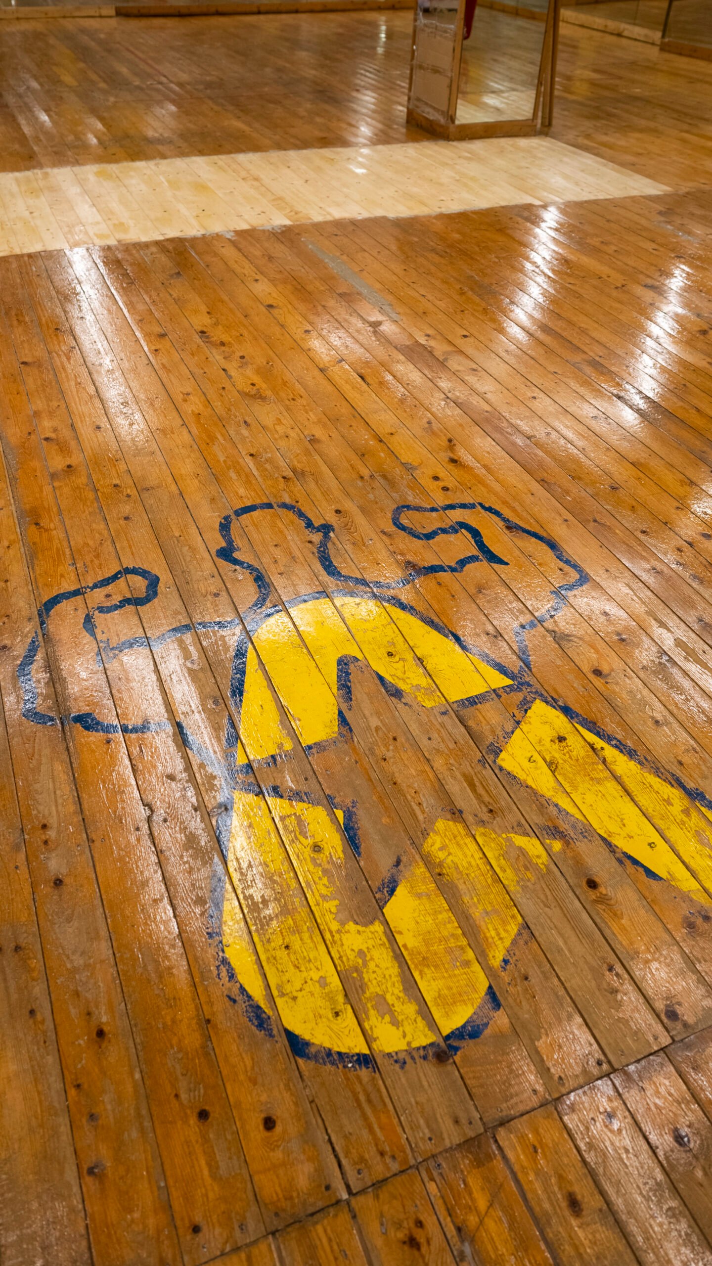 Un antico simbolo di Athena dipinto sul parquet della sala corsi, parte della storia del club.